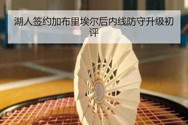 湖人签约加布里埃尔后内线防守升级初评